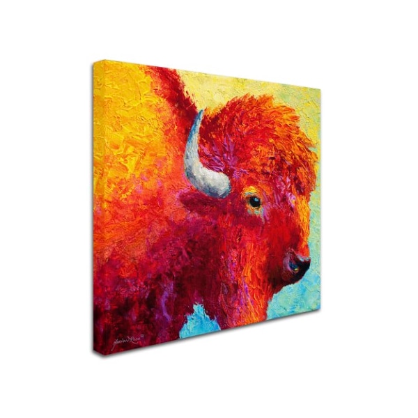 Marion Rose 'Bison Head IV' Canvas Art,18x18